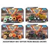 Monster Jam 1:64 Diecast Trucks 2pk assorted ( ONLY SOLD in Carton of 5 )