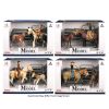 Farm Animals Cowboy w/Horse & Foal Set with Accessories assorted