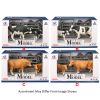 Farm Animals Cow with Calf with Accessories assorted