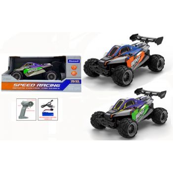 Radio Control 1:18 2.4GHz Beast Buggy