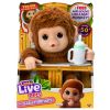 Little Live Pets My Lil Baby Monkey Plush