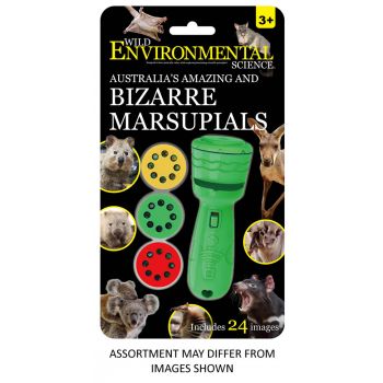 Animal Projector Torch assorted ( ONLY SOLD in Carton of 6 )