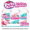 ZURU Pet's Alive Swimming Axolotl assorted ( ONLY SOLD in Display of 12 )