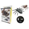 Radio Control Spider Mini