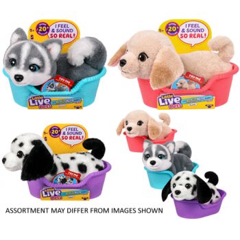Little Live Pets My Really Real Mini Puppy assorted ( ONLY SOLD in Carton of 2 )
