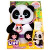 Little Live Pets Lil Baby Panda Single Pack
