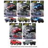 Hot Wheels Car Culture assorted ( ONLY SOLD in carton of 10 )