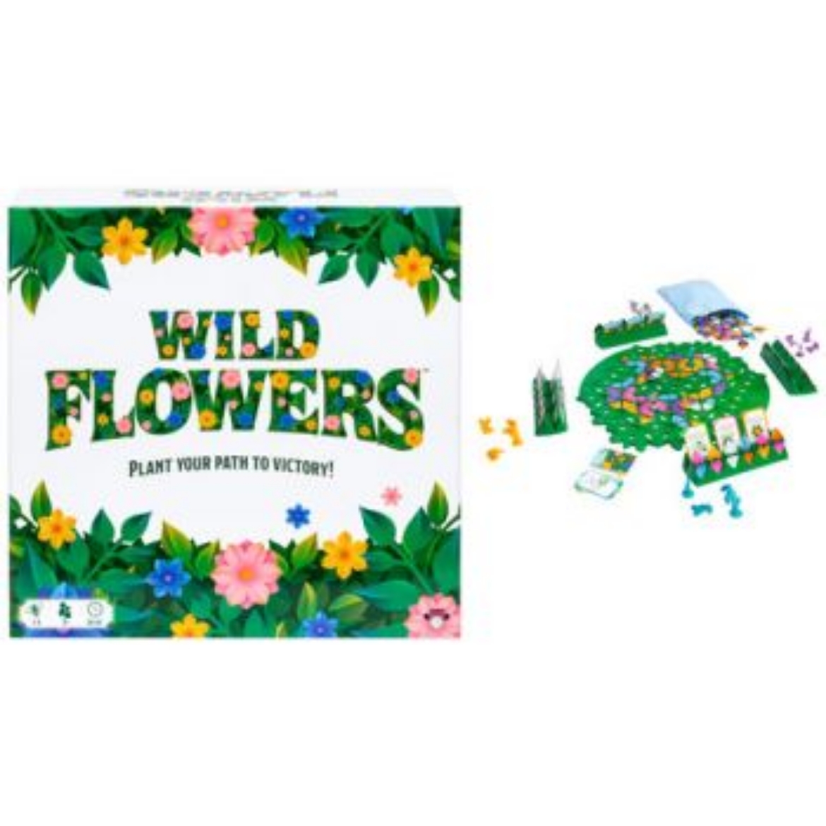 Picture of Wild Flowers