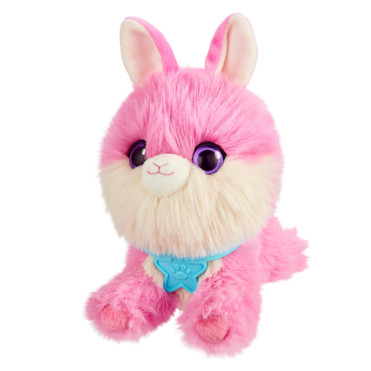 Picture of Scruffaluvs Series 3 Rainbow Pets Single Pack